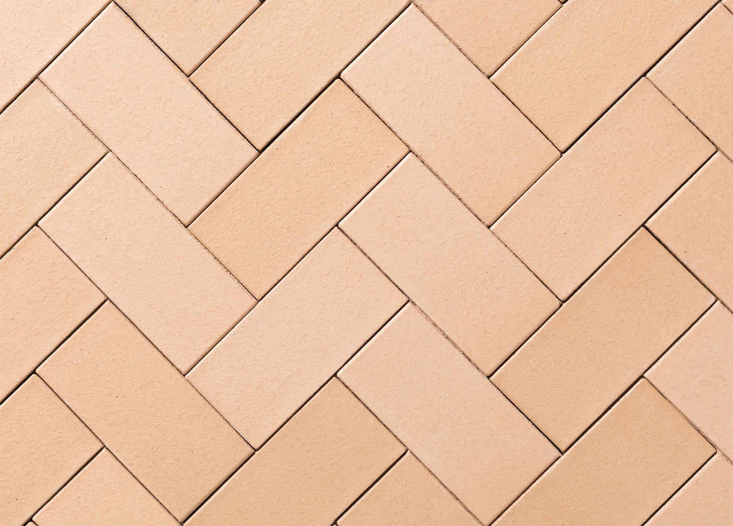 QLD Clay Pavers 230x115x50mm (Cream)