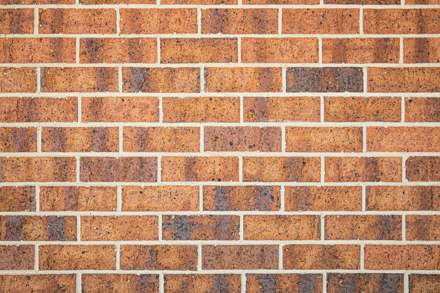 Hills Gold Bricks 230x110x76mm