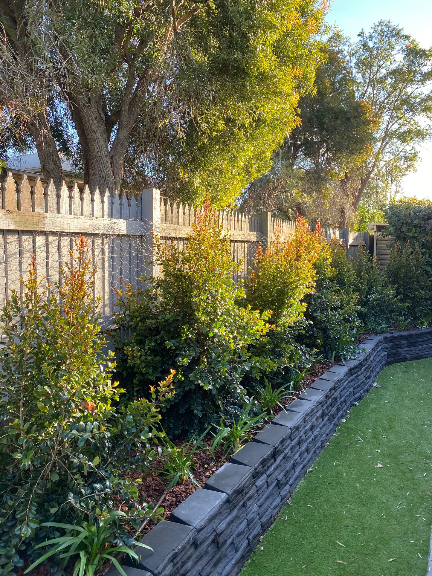 Wooden pathway leading through a garden with trees and grass