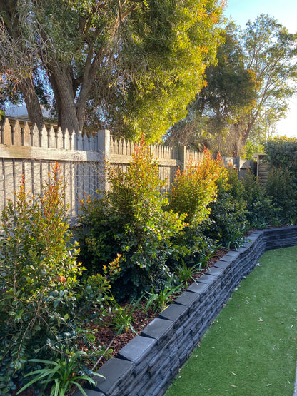 Wooden pathway leading through a garden with trees and grass