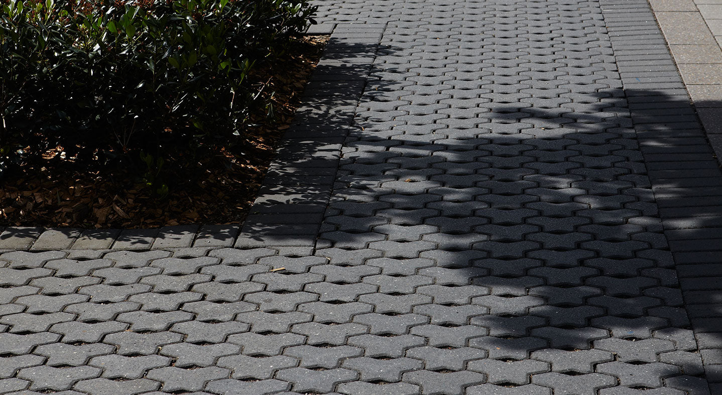 Shadow of a tree on a hexagonal patterned pavement