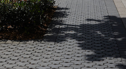 Shadow of a tree on a hexagonal patterned pavement