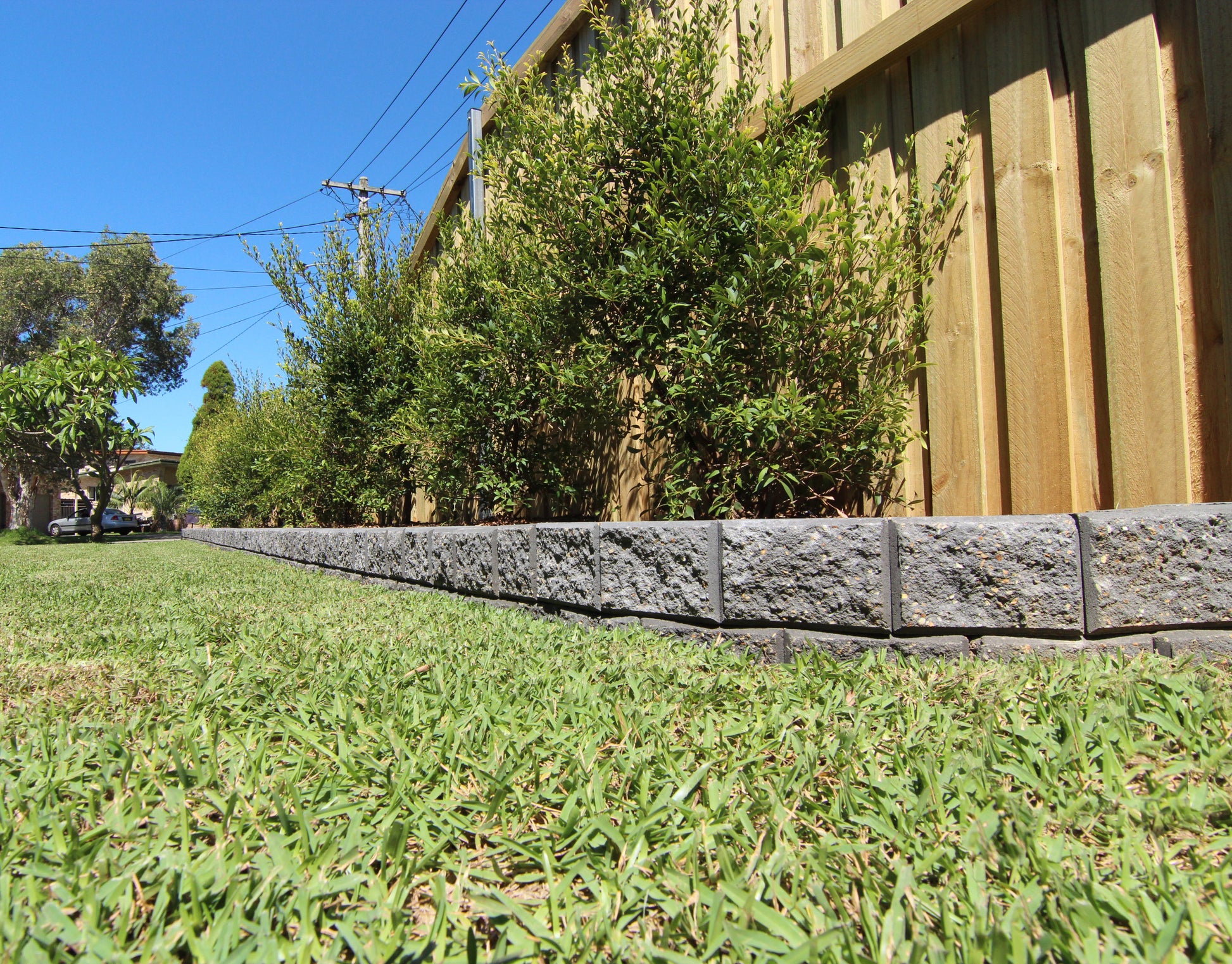 Grass lawn with a stone border in front of a wooden fence and trees on a sunny day.