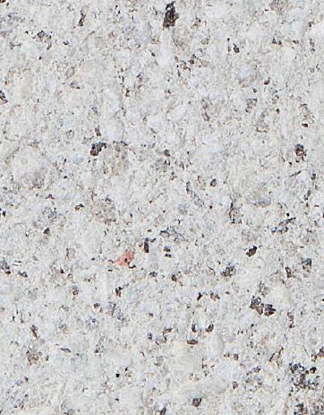 Euro Stone Sharknose Pavers 400x400x40mm (Riverina)