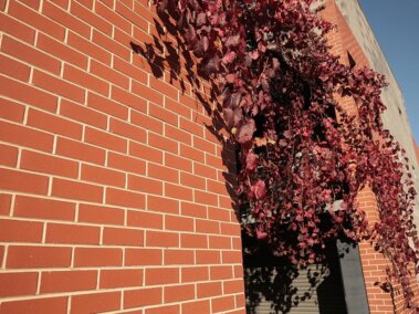 Original Adelaide Red Bricks 230x110x76mm