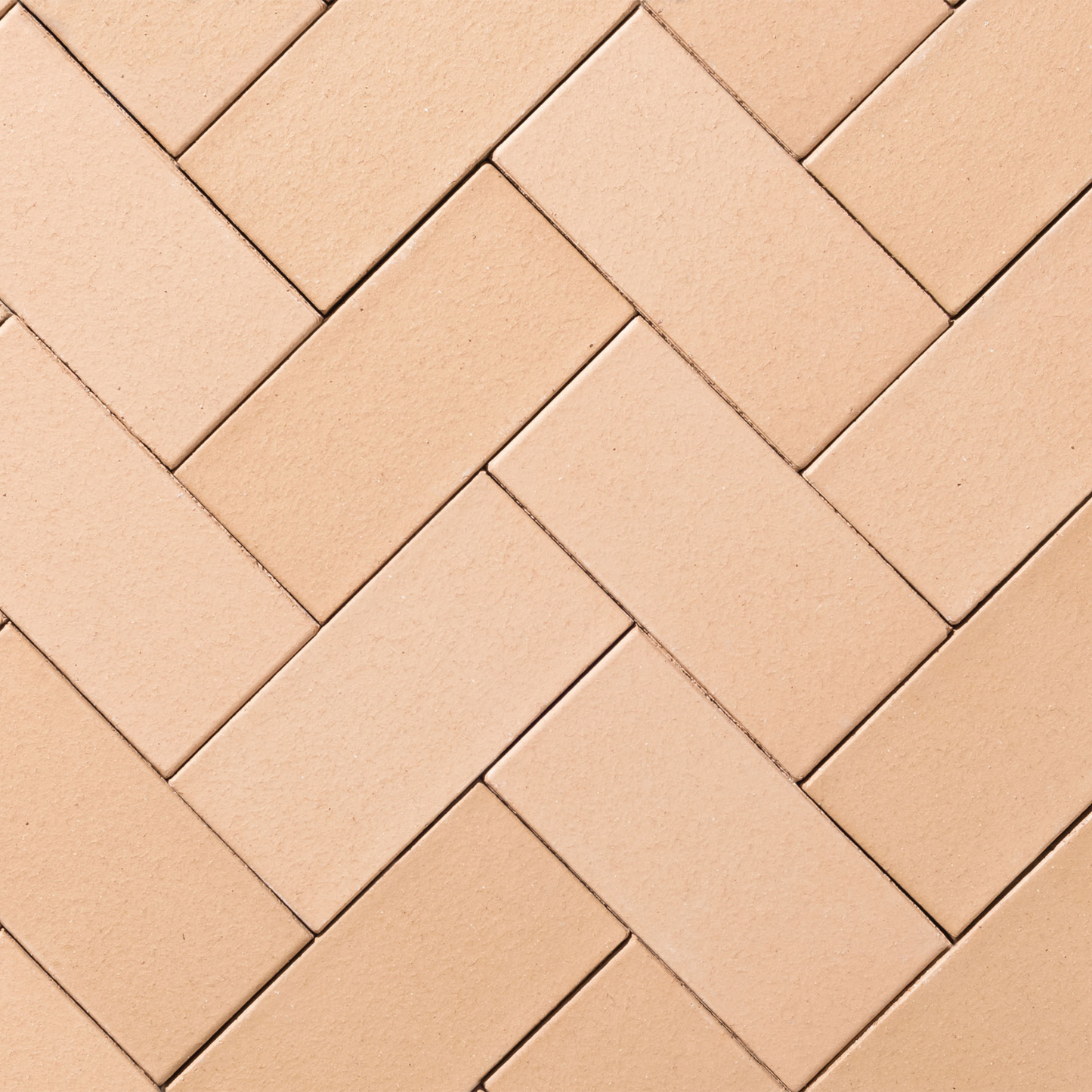 Alfresco Buttermilk Clay Pavers 230x114x50mm (Cream) (Pack of 480)