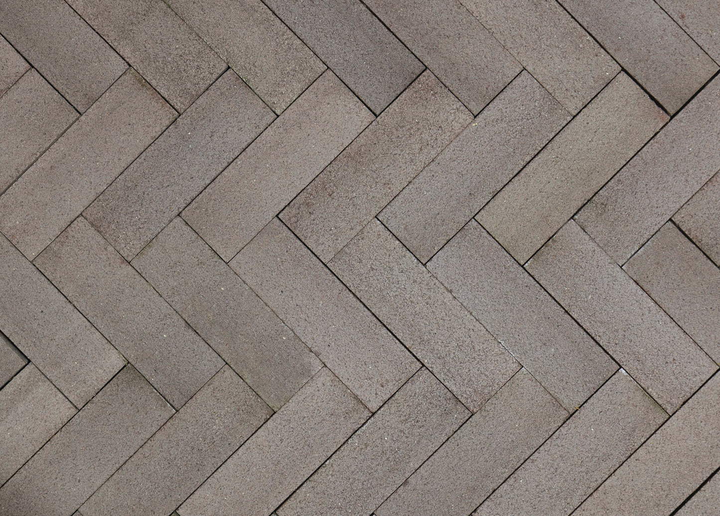 Hamlet Ash Clay Pavers 230x76x65mm (Grey) (Pack of 750)