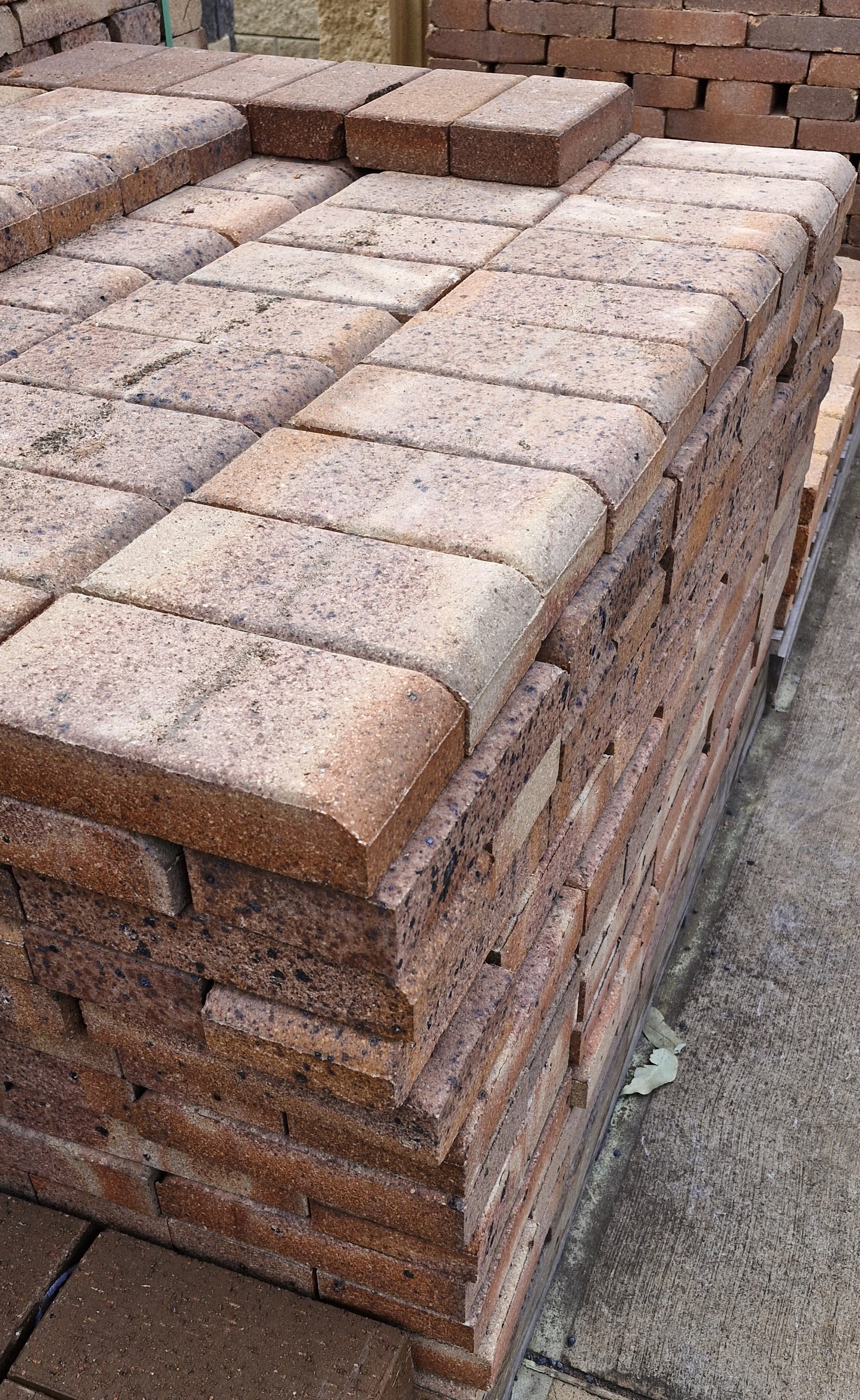 Full Cream Bullnose Clay Pavers 230x115x50mm (Cream)
