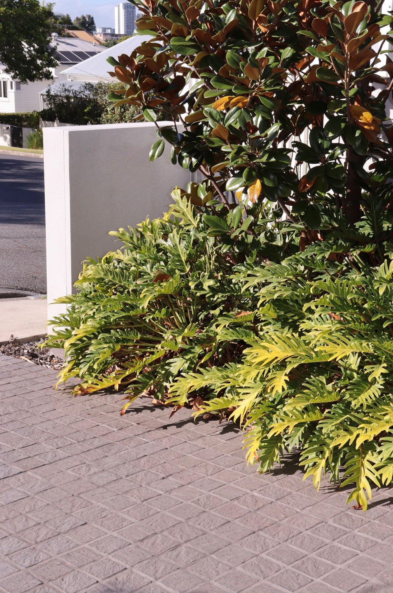 Cobblestone Pavers 100x100x40mm (Charcoal)