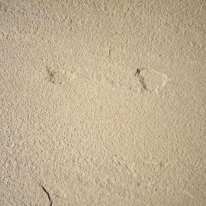 Sandstone Pavers 600x400x40mm (Sahara)