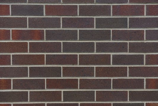 Federation Blue Solid Face Bricks (Red Blue) (Pack of 500)