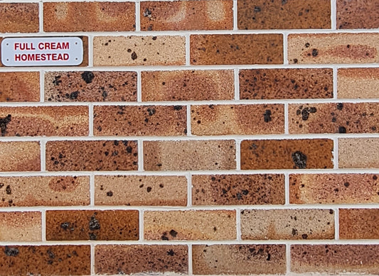 Full Cream Homestead Bricks (Cream) (Pack of 500)