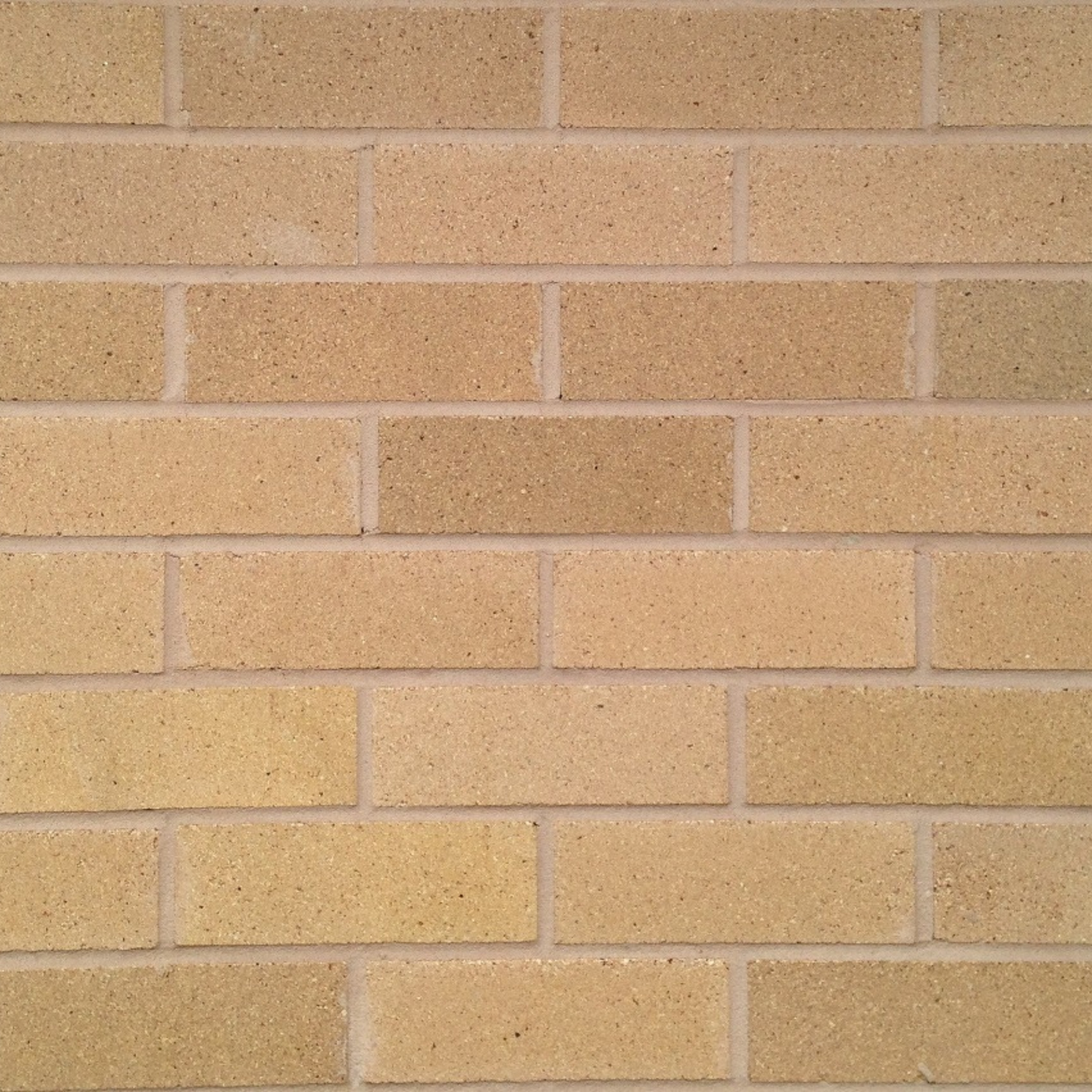 Light Cream Solid Face Bricks 230x110x76mm (Cream) (Pack of 500)