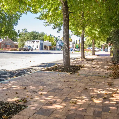 Paved sidewalk lined with trees on a sunny day in a small town.