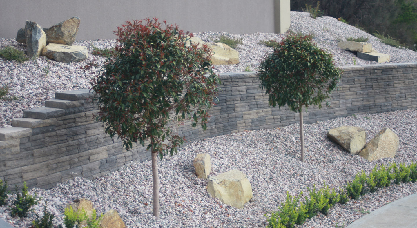 Natural Impressions Flagstone Wall Cap 300x200x50mm (Ironstone)