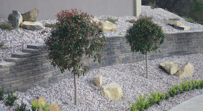 Natural Impressions Flagstone Wall Cap 300x200x50mm (Ironstone)