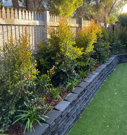 Garden with plants and a stone retaining wall next to a grassy area.
