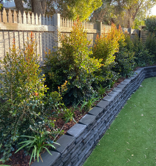 Garden with plants and a stone retaining wall next to a grassy area.