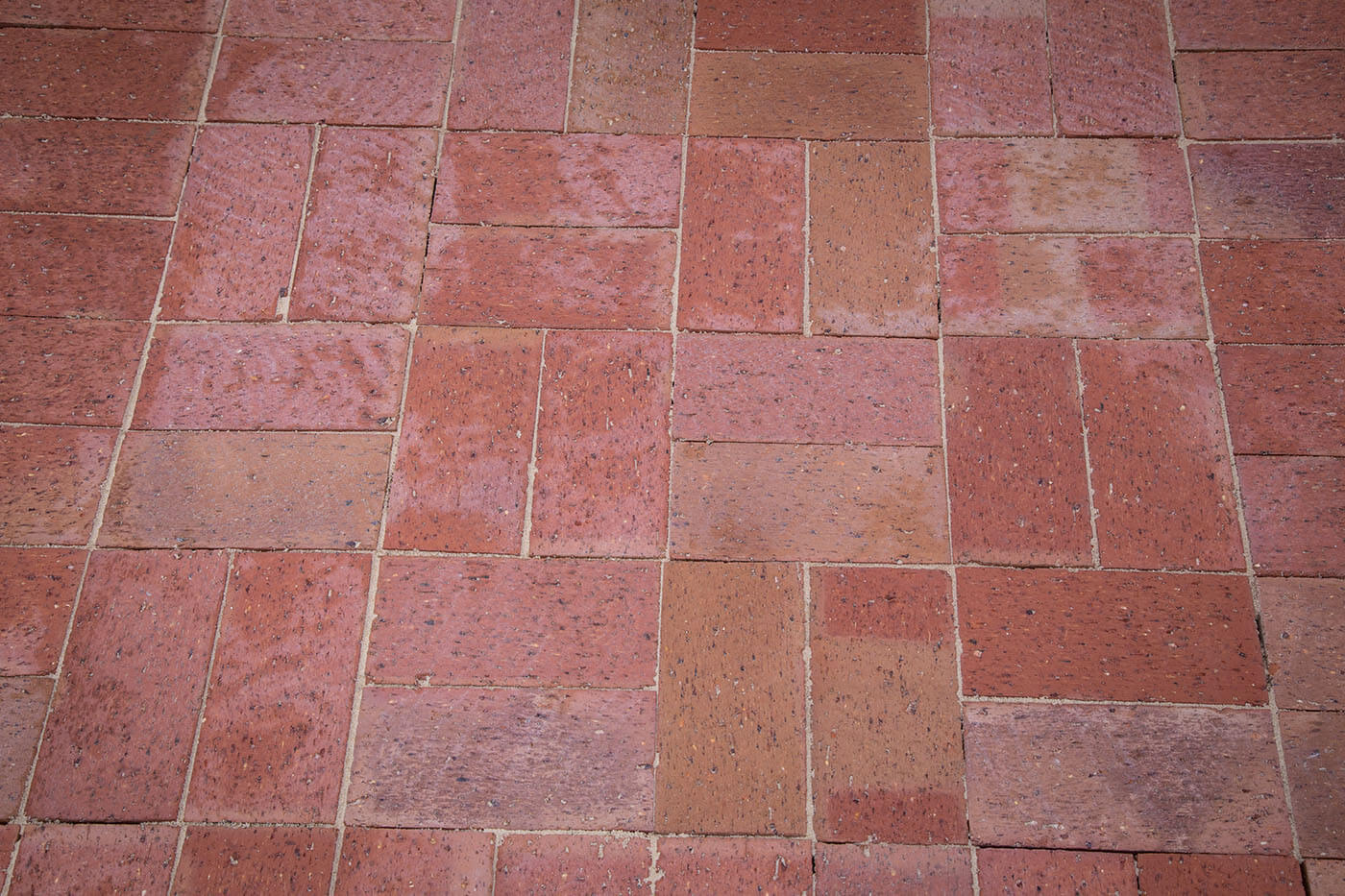 Original Adelaide Red Clay Pavers 230x114x50mm (Red)