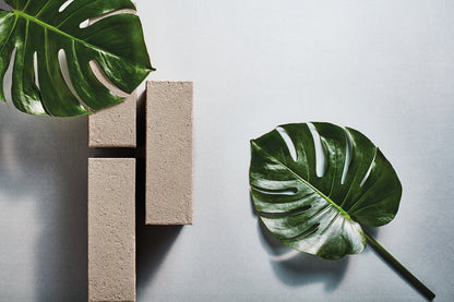 PGH Bricks Ginseng Bricks 230x110x76mm (Pallet of 460)