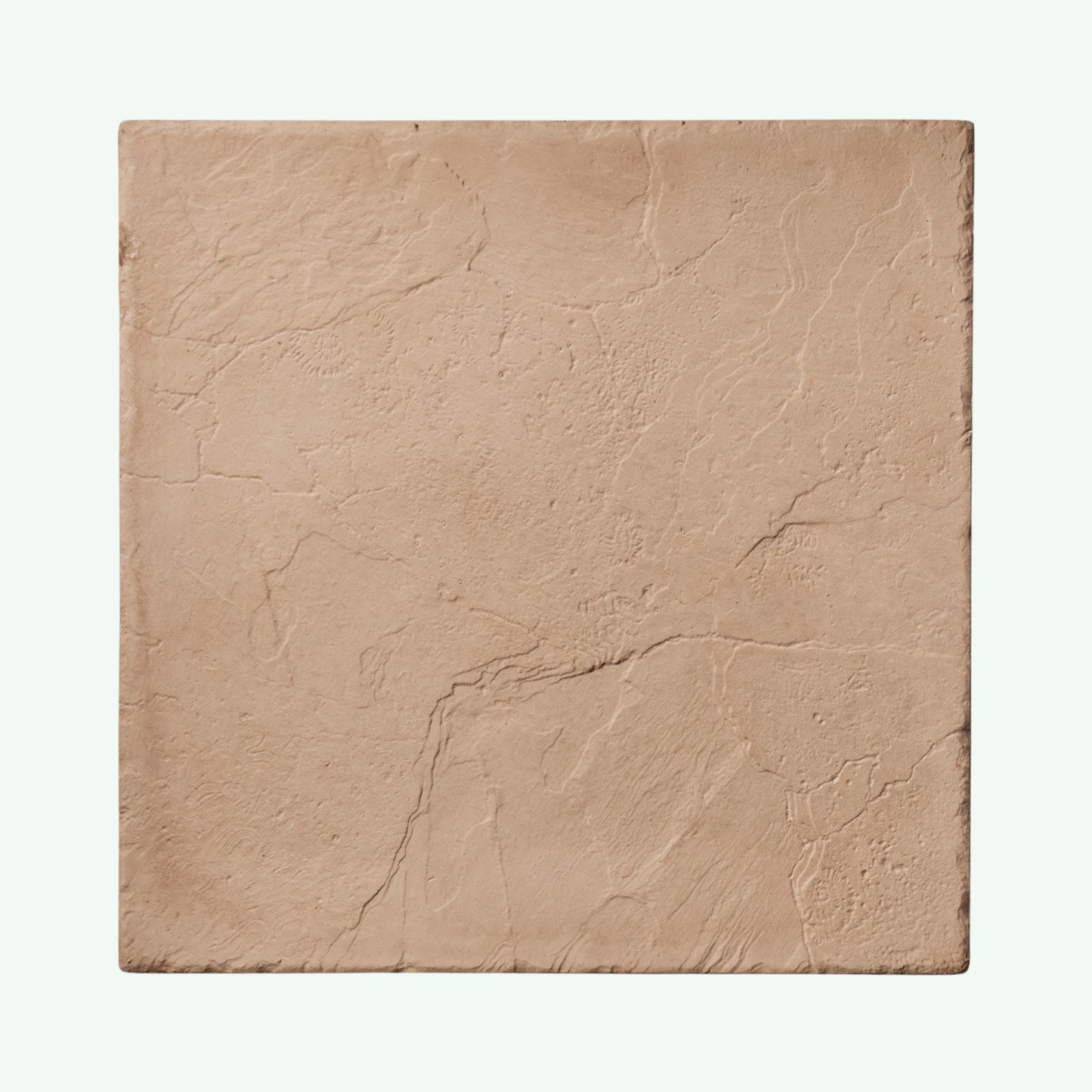 Square tile with a textured beige surface on a white background