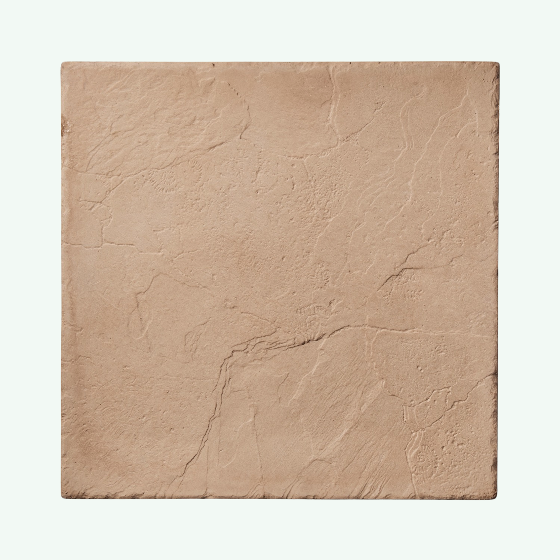 Square tile with a textured beige surface on a white background
