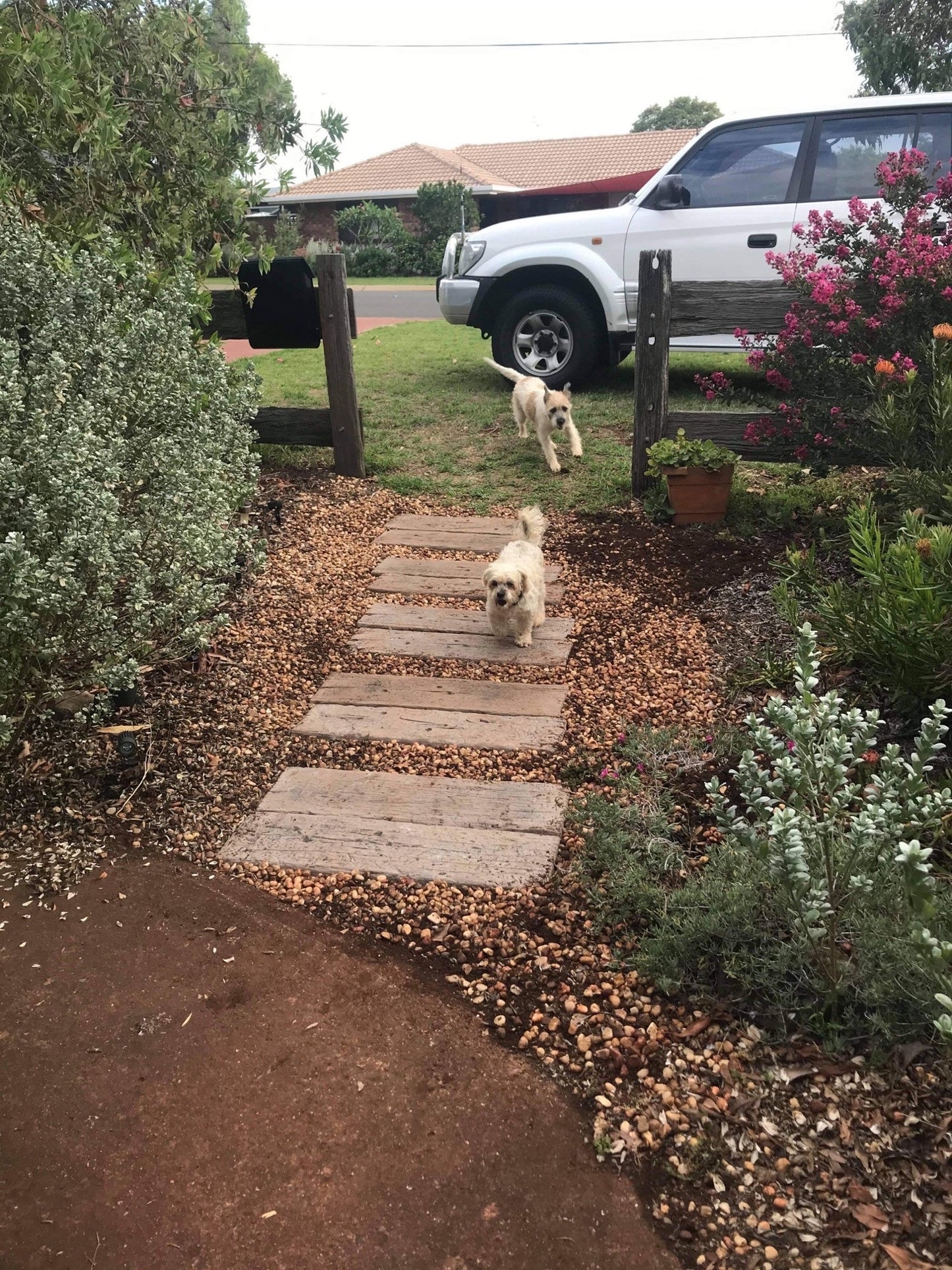 Timberlook Pavers 800x230x40mm (Copper)